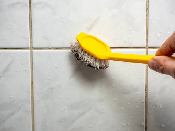 Best Mold Remediation  in Seabrook Farms, NJ
