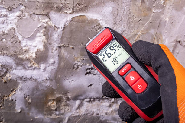 Best Certified Mold Removal  in Seabrook Farms, NJ