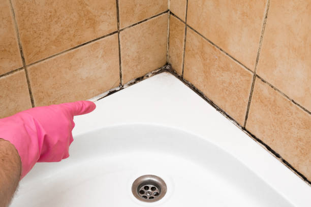 Water Damage Restoration in Seabrook Farms, NJ